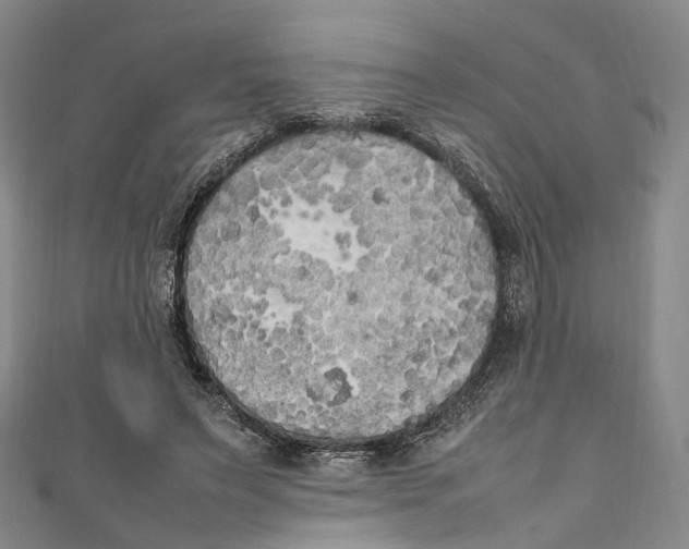 X0000111210495200907221154