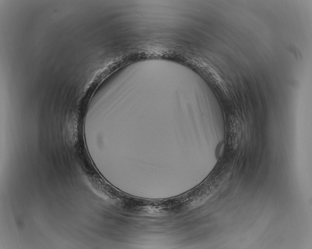 X0000111210496200907221154