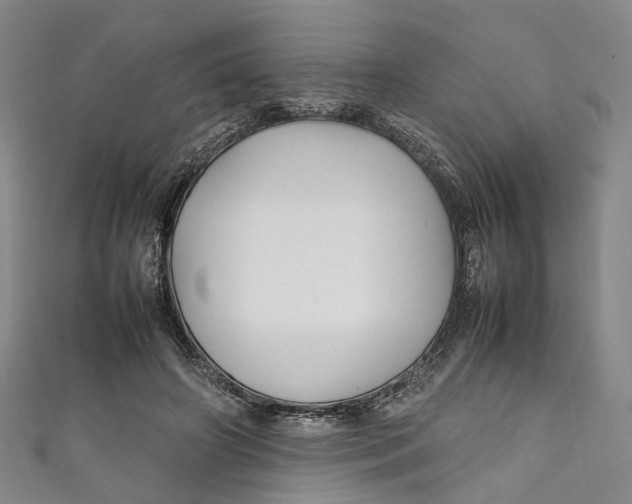 X0000111210498200907221154