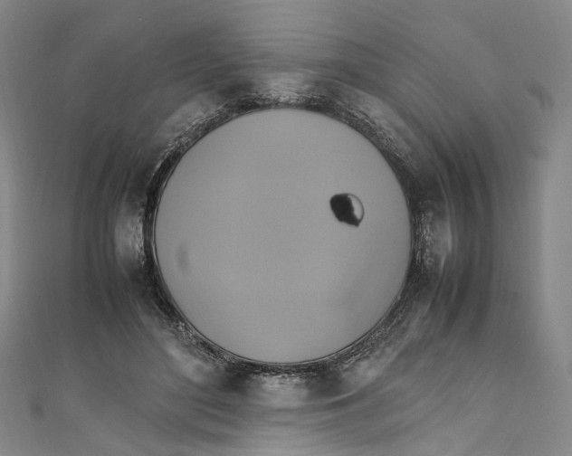 X0000111210500200907221154