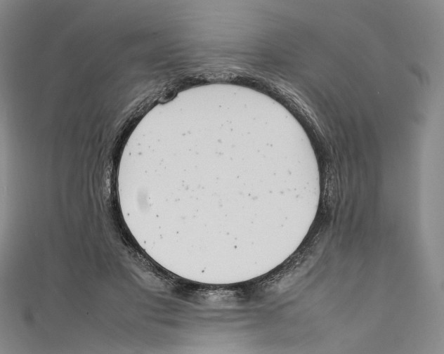 X0000111210501200907221154