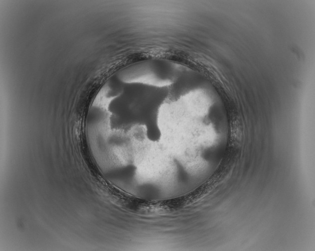 X0000111210503200907221154