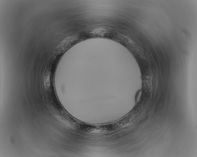 X0000111210504200907221154