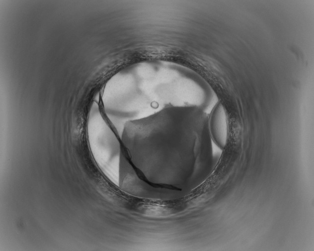 X0000111210507200907221154