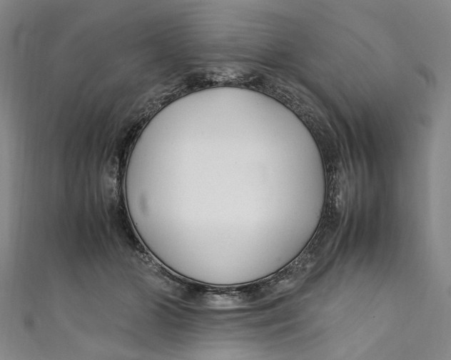 X0000111210510200907221154