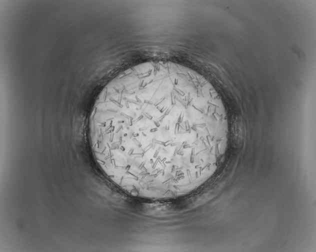 X0000111210511200907221154