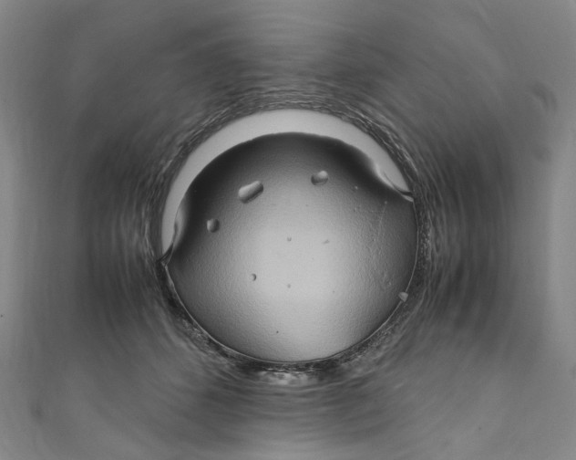 X0000111210512200907221154