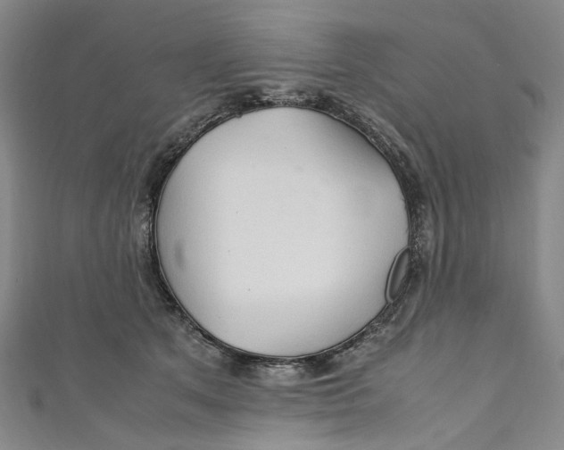 X0000111210513200907221154