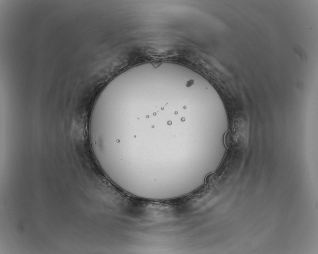 X0000111210515200907221154