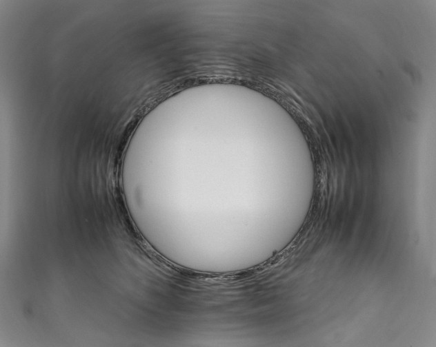 X0000111210516200907221154