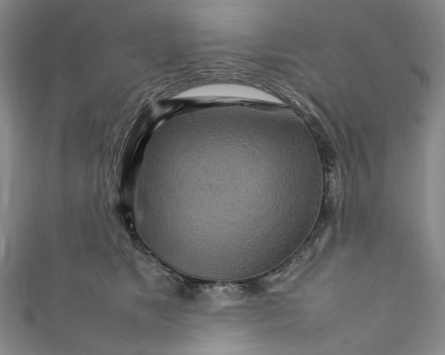 X0000111210517200907221154