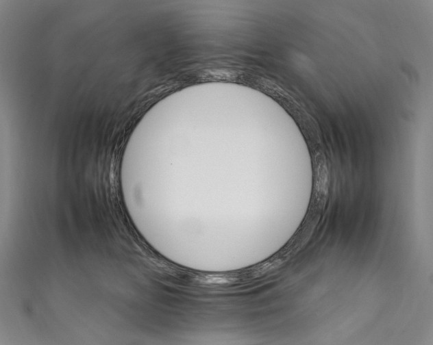 X0000111210518200907221154