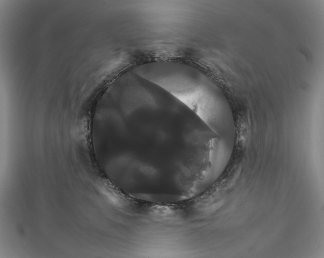 X0000111210519200907221154