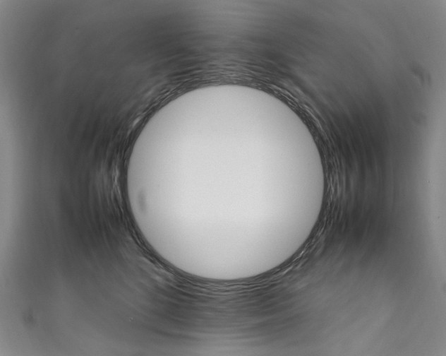 X0000111210520200907221153