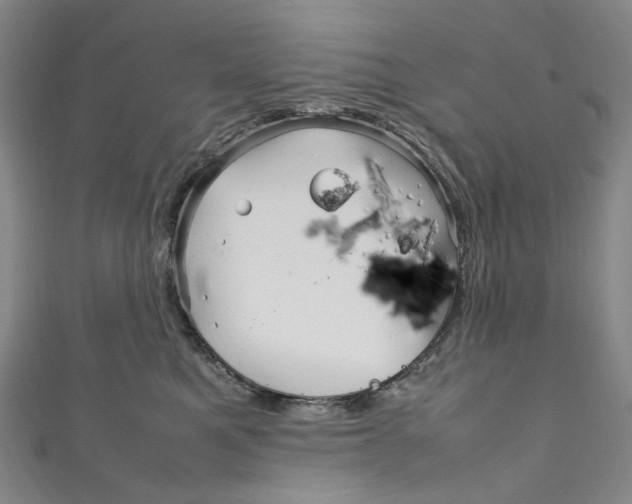 X0000111210521200907221153