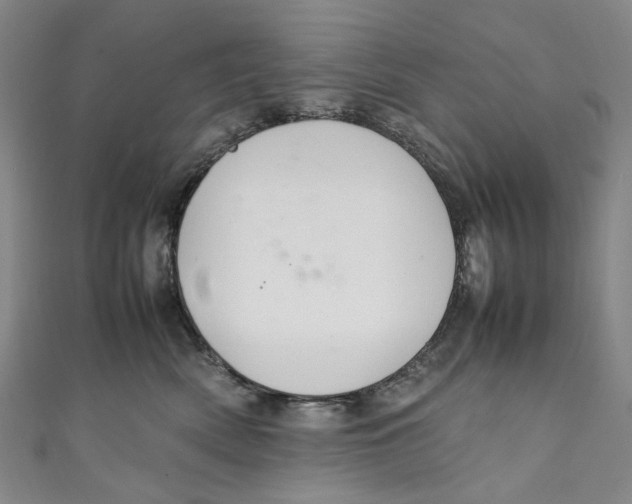 X0000111210522200907221153