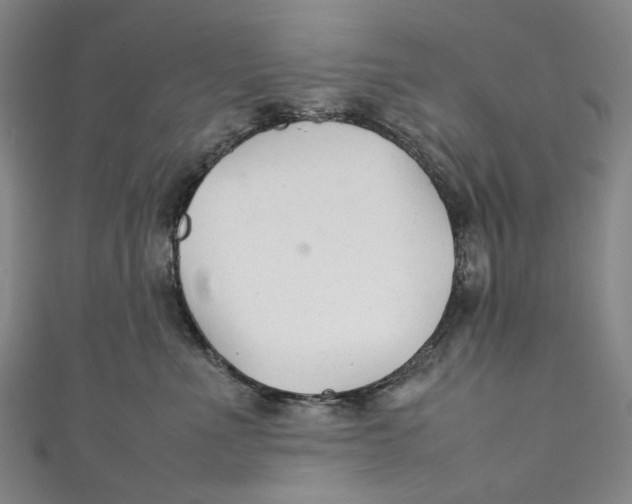 X0000111210523200907221153