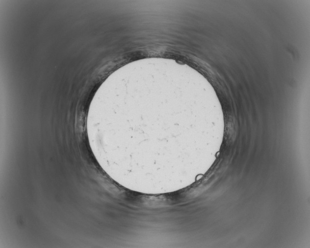 X0000111210525200907221153