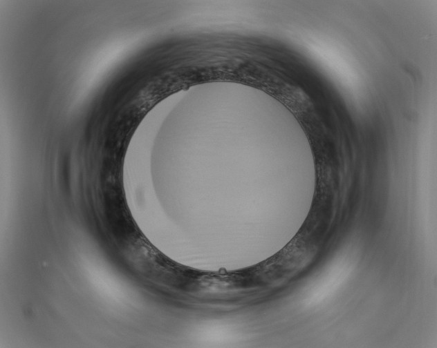 X0000111210526200907221153