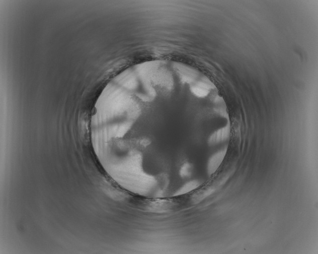 X0000111210527200907221153