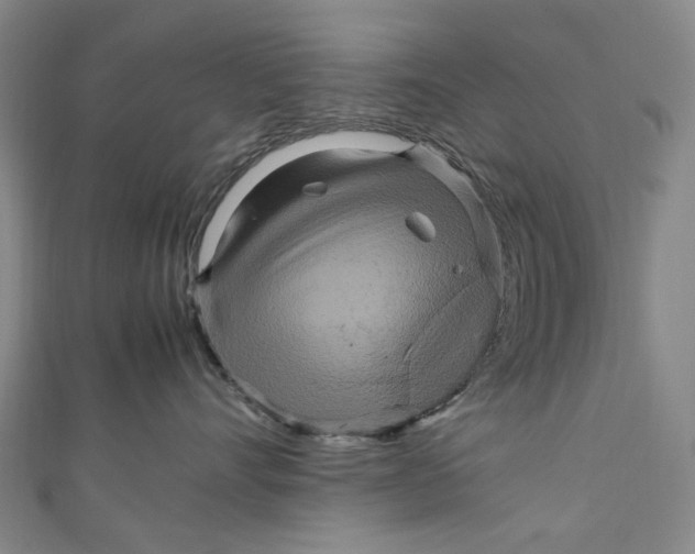 X0000111210528200907221153