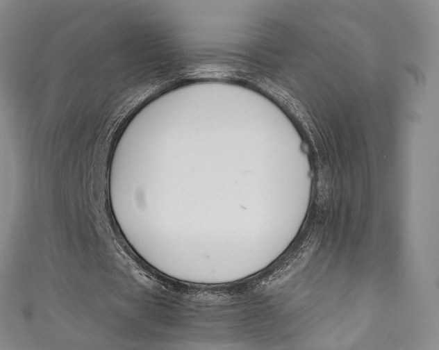 X0000111210529200907221153