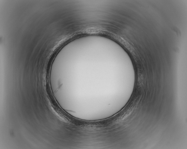 X0000111210530200907221153