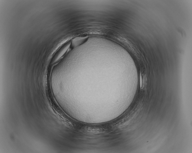 X0000111210531200907221153