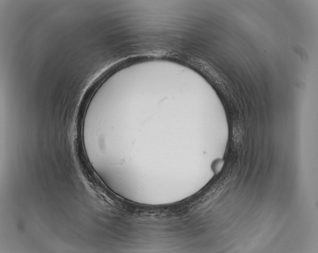 X0000111210532200907221153