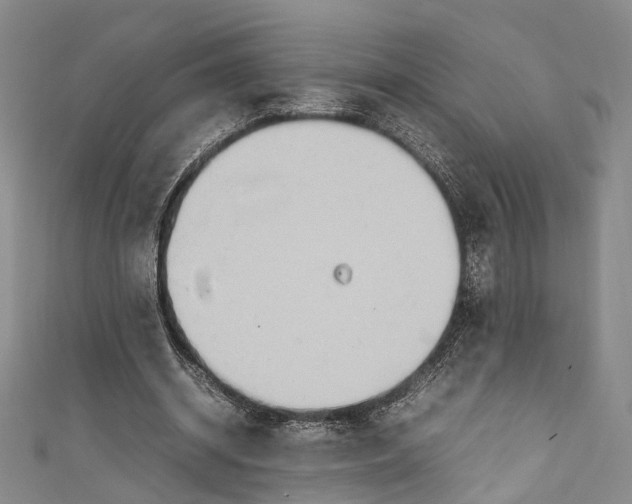 X0000111210534200907221153