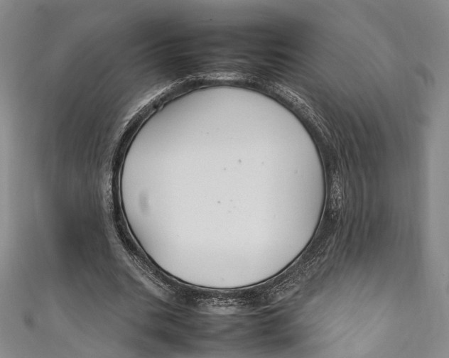 X0000111210535200907221153