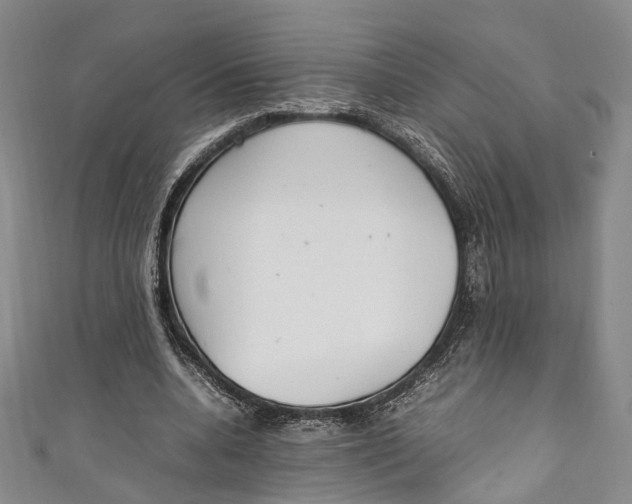 X0000111210536200907221153