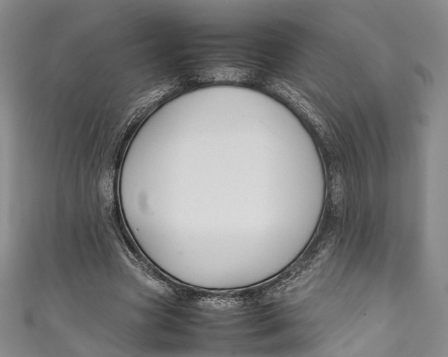 X0000111210537200907221153