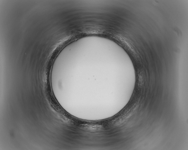 X0000111210539200907221153