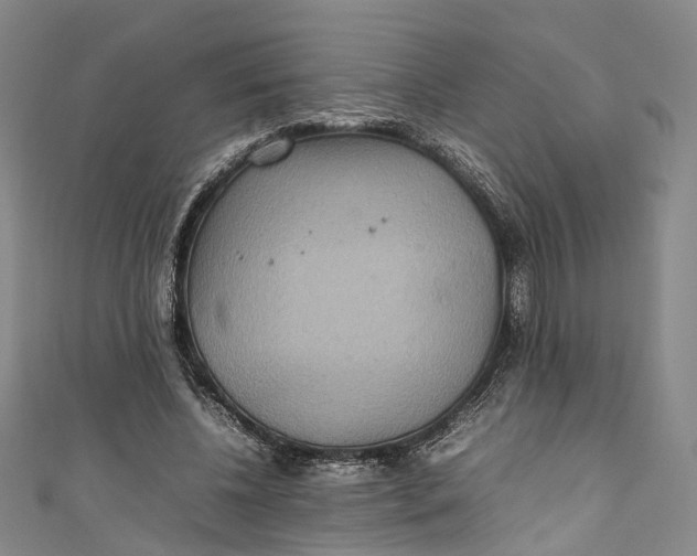 X0000111210540200907221153