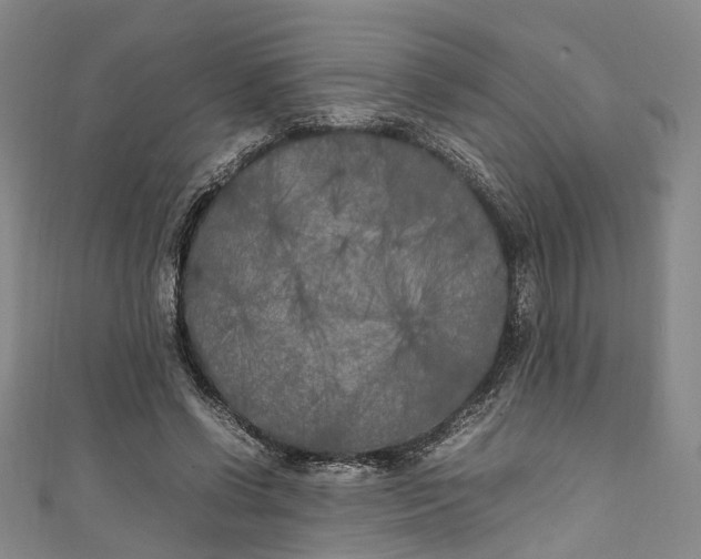 X0000111210542200907221153