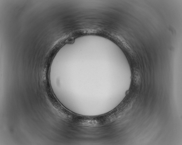 X0000111210543200907221153