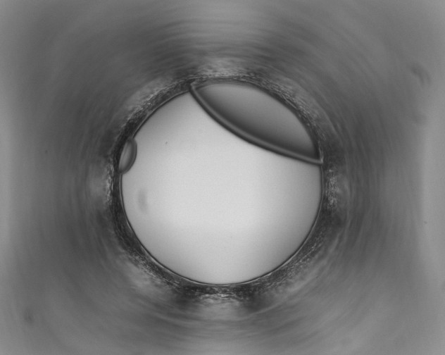 X0000111210544200907221153