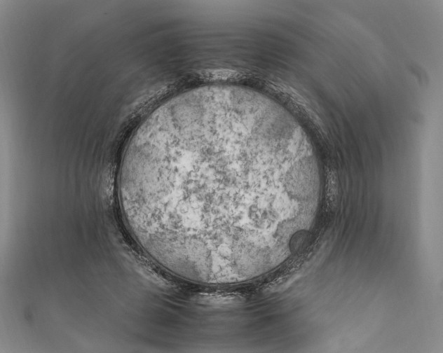 X0000111210545200907221153