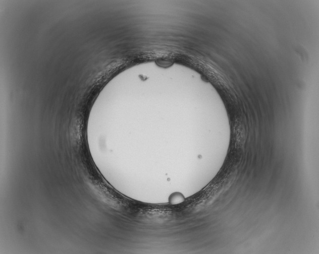 X0000111210546200907221153