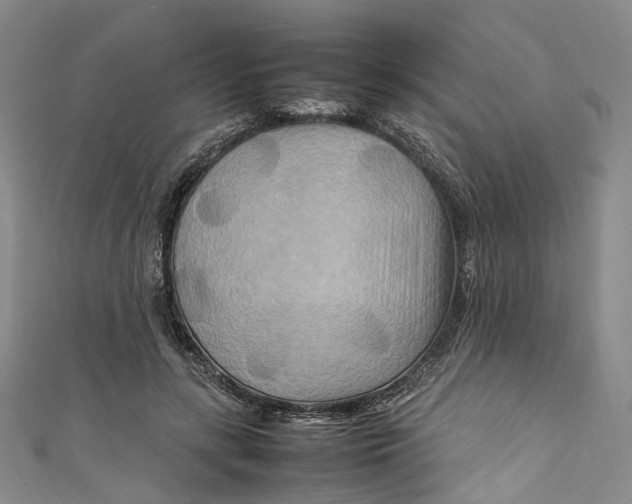 X0000111210547200907221153