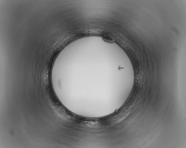 X0000111210552200907221153