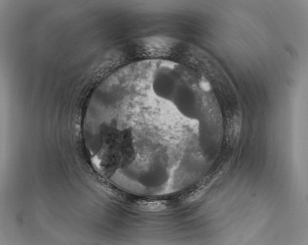 X0000111210553200907221153