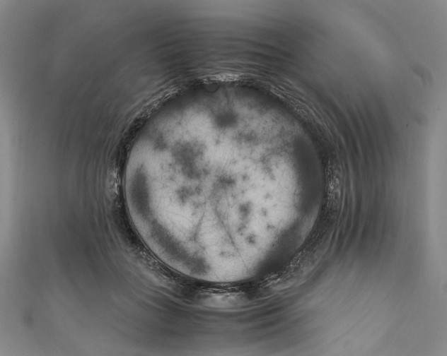 X0000111210555200907221153