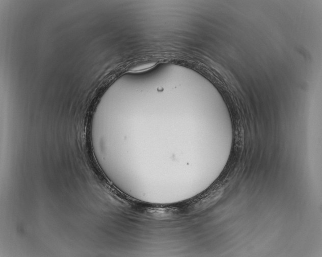 X0000111210558200907221153