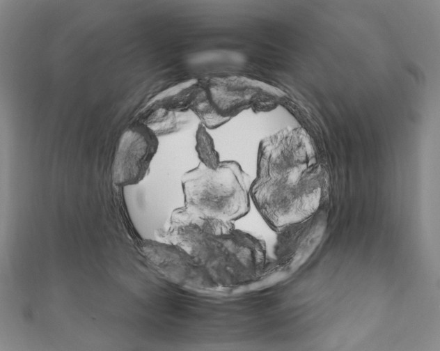 X0000111210561200907221153