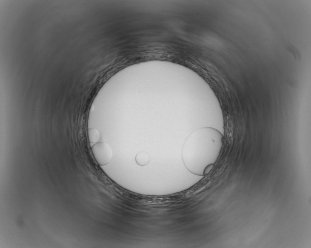 X0000111210563200907221153