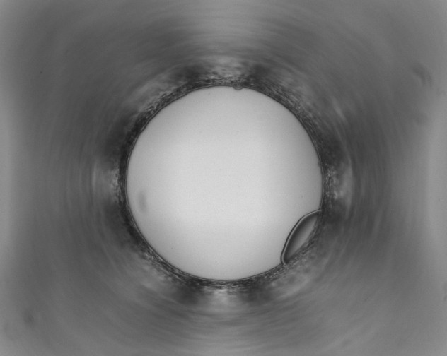 X0000111210564200907221153