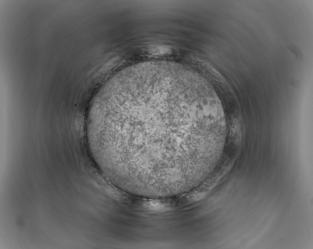 X0000111210565200907221153