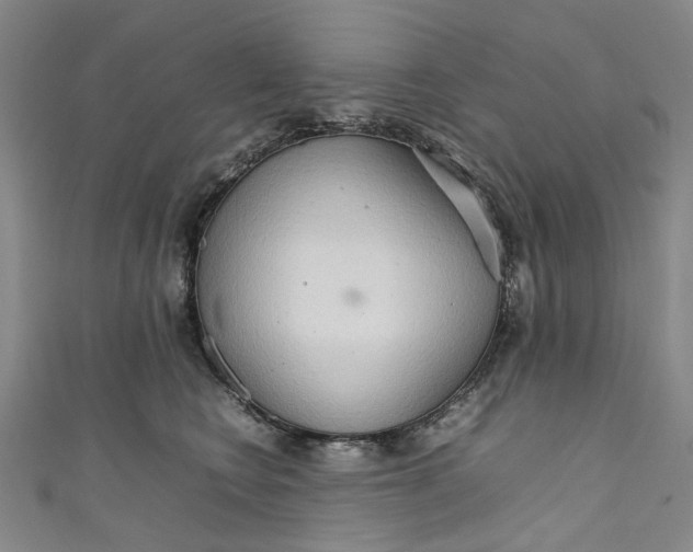 X0000111210566200907221153